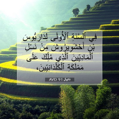 Picture 07 - دَانِيآل 9:1 AVD - فِي ٱلسَّنَةِ ٱلْأُولَى - Bible Verse Picture