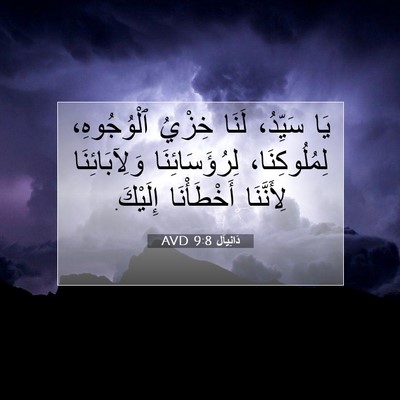 Picture 07 - دَانِيآل 9:8 AVD - يَا سَيِّدُ، لَنَا خِزْيُ - Bible Verse Picture