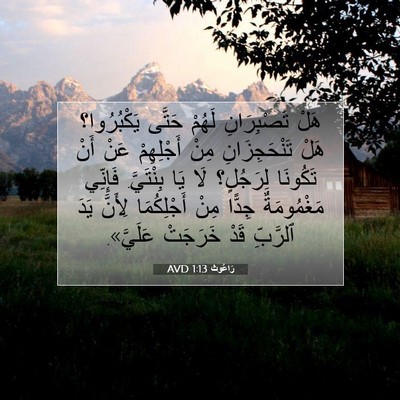Picture 07 - رَاعُوث 1:13 AVD - هَلْ تَصْبِرَانِ لَهُمْ - Bible Verse Picture