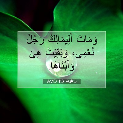 Picture 07 - رَاعُوث 1:3 AVD - وَمَاتَ أَلِيمَالِكُ - Bible Verse Picture