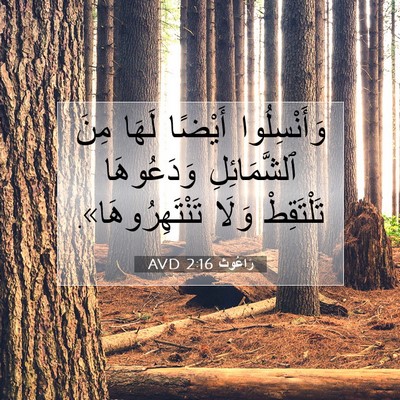 Picture 07 - رَاعُوث 2:16 AVD - وَأَنْسِلُوا أَيْضًا - Bible Verse Picture