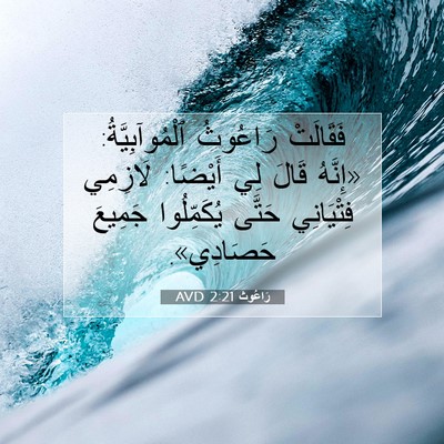 Picture 07 - رَاعُوث 2:21 AVD - فَقَالَتْ رَاعُوثُ - Bible Verse Picture