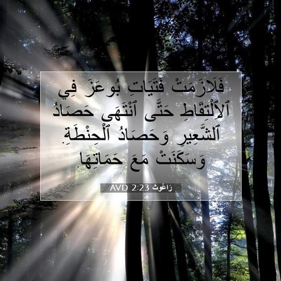 Picture 07 - رَاعُوث 2:23 AVD - فَلَازَمَتْ فَتَيَاتِ - Bible Verse Picture