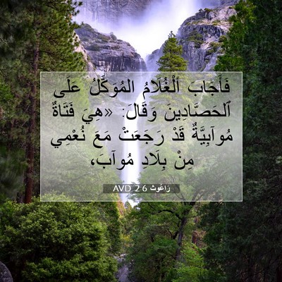 Picture 07 - رَاعُوث 2:6 AVD - فَأَجَابَ ألْغُلَامُ - Bible Verse Picture