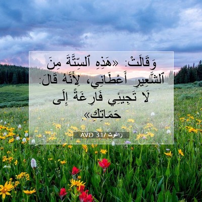 Picture 07 - رَاعُوث 3:17 AVD - وَقَالَتْ: «هَذِهِ - Bible Verse Picture