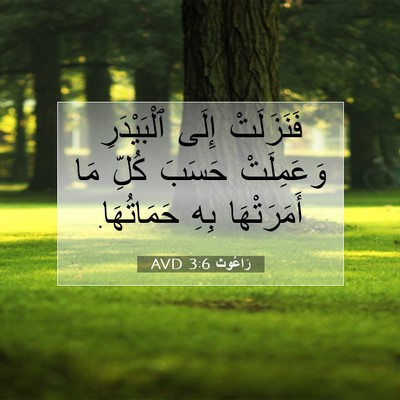 Picture 07 - رَاعُوث 3:6 AVD - فَنَزَلَتْ إِلَى - Bible Verse Picture