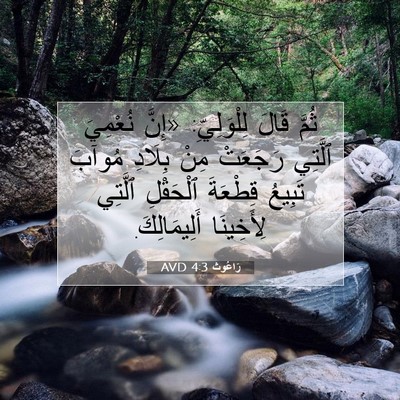 Picture 07 - رَاعُوث 4:3 AVD - ثُمَّ قَالَ لِلْوَلِيِّ: - Bible Verse Picture