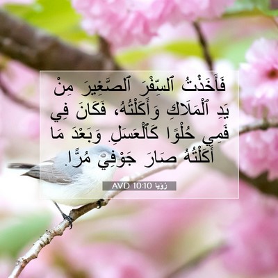 Picture 07 - رُؤيا 10:10 AVD - فَأَخَذْتُ ٱلسِّفْرَ - Bible Verse Picture