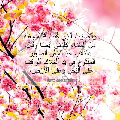 Picture 07 - رُؤيا 10:8 AVD - وَٱلصَّوْتُ ٱلَّذِي - Bible Verse Picture