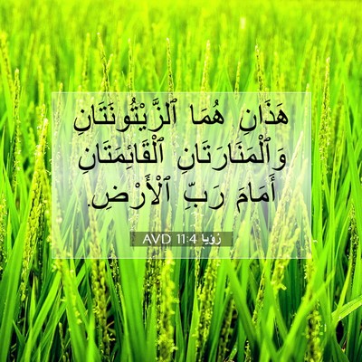 Picture 07 - رُؤيا 11:4 AVD - هَذَانِ هُمَا - Bible Verse Picture