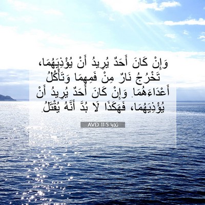Picture 07 - رُؤيا 11:5 AVD - وَإِنْ كَانَ أَحَدٌ - Bible Verse Picture