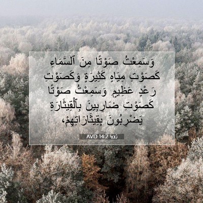 Picture 07 - رُؤيا 14:2 AVD - وَسَمِعْتُ صَوْتًا مِنَ - Bible Verse Picture