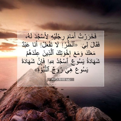 Picture 07 - رُؤيا 19:10 AVD - فَخَرَرْتُ أَمَامَ - Bible Verse Picture