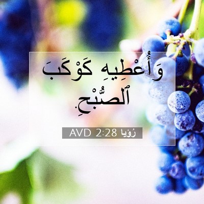 Picture 07 - رُؤيا 2:28 AVD - وَأُعْطِيهِ كَوْكَبَ - Bible Verse Picture