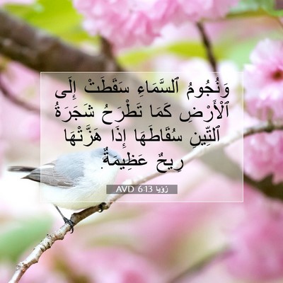 Picture 07 - رُؤيا 6:13 AVD - وَنُجُومُ ٱلسَّمَاءِ - Bible Verse Picture