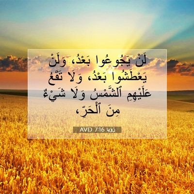 Picture 07 - رُؤيا 7:16 AVD - لَنْ يَجُوعُوا بَعْدُ، - Bible Verse Picture