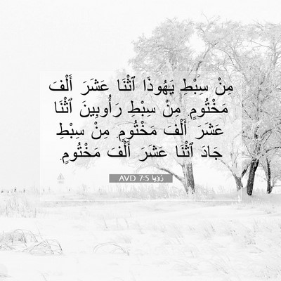 Picture 07 - رُؤيا 7:5 AVD - مِنْ سِبْطِ يَهُوذَا - Bible Verse Picture