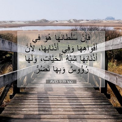 Picture 07 - رُؤيا 9:19 AVD - فَإِنَّ سُلْطَانَهَا هُوَ - Bible Verse Picture