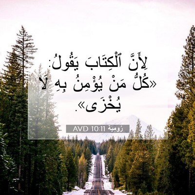 Picture 07 - رُومِيَةَ 10:11 AVD - لِأَنَّ ٱلْكِتَابَ - Bible Verse Picture