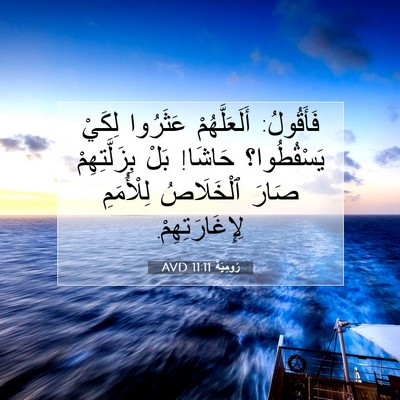 Picture 07 - رُومِيَةَ 11:11 AVD - فَأَقُولُ: أَلَعَلَّهُمْ - Bible Verse Picture