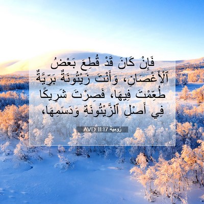 Picture 07 - رُومِيَةَ 11:17 AVD - فَإِنْ كَانَ قَدْ قُطِعَ - Bible Verse Picture