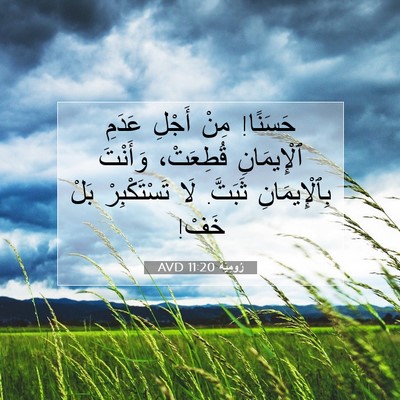 Picture 07 - رُومِيَةَ 11:20 AVD - حَسَنًا! مِنْ أَجْلِ - Bible Verse Picture
