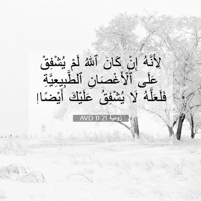 Picture 07 - رُومِيَةَ 11:21 AVD - لِأَنَّهُ إِنْ كَانَ ٱللهُ - Bible Verse Picture