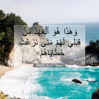 Picture 07 - رُومِيَةَ 11:27 AVD - وَهَذَا هُوَ ٱلْعَهْدُ - Bible Verse Picture