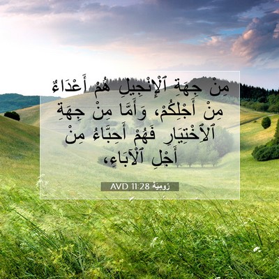 Picture 07 - رُومِيَةَ 11:28 AVD - مِنْ جِهَةِ ٱلْإِنْجِيلِ - Bible Verse Picture