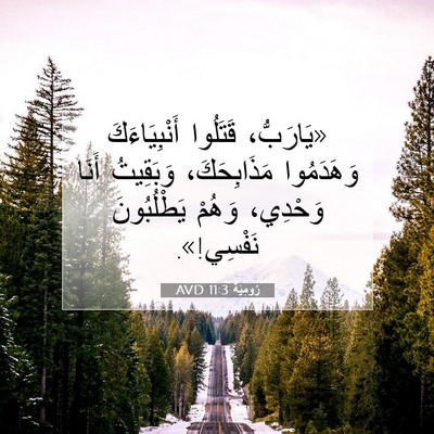 Picture 07 - رُومِيَةَ 11:3 AVD - «يَارَبُّ، قَتَلُوا - Bible Verse Picture