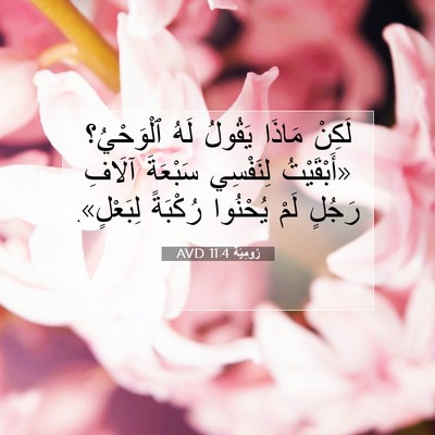 Picture 07 - رُومِيَةَ 11:4 AVD - لَكِنْ مَاذَا يَقُولُ لَهُ - Bible Verse Picture