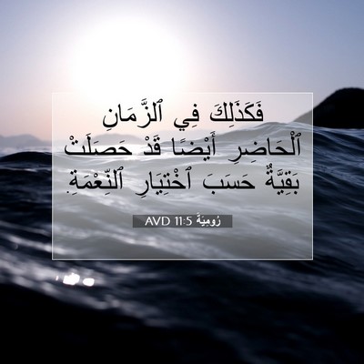 Picture 07 - رُومِيَةَ 11:5 AVD - فَكَذَلِكَ فِي ٱلزَّمَانِ - Bible Verse Picture