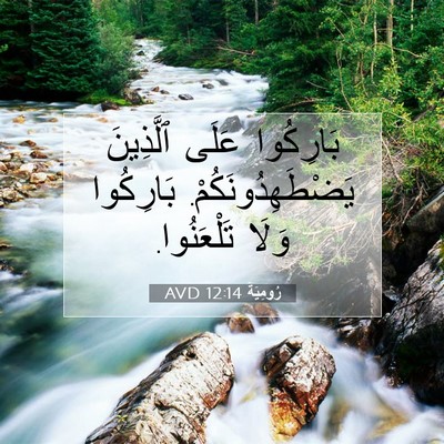 Picture 07 - رُومِيَةَ 12:14 AVD - بَارِكُوا عَلَى ٱلَّذِينَ - Bible Verse Picture