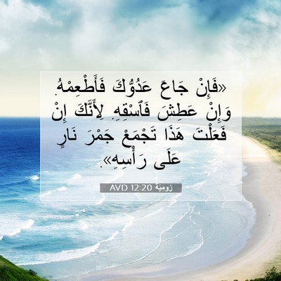Picture 07 - رُومِيَةَ 12:20 AVD - «فَإِنْ جَاعَ عَدُوُّكَ - Bible Verse Picture