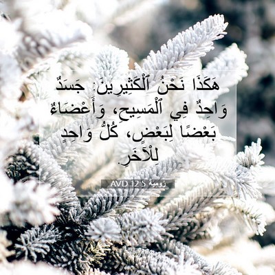 Picture 07 - رُومِيَةَ 12:5 AVD - هَكَذَا نَحْنُ - Bible Verse Picture