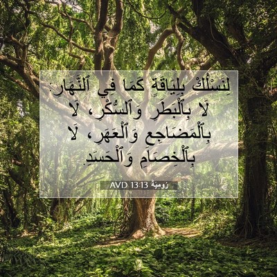 Picture 07 - رُومِيَةَ 13:13 AVD - لِنَسْلُكْ بِلِيَاقَةٍ - Bible Verse Picture