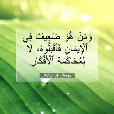Picture 07 - رُومِيَةَ 14:1 AVD - وَمَنْ هُوَ ضَعِيفٌ فِي - Bible Verse Picture