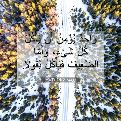 Picture 07 - رُومِيَةَ 14:2 AVD - وَاحِدٌ يُؤْمِنُ أَنْ - Bible Verse Picture