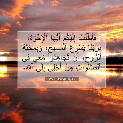 Picture 07 - رُومِيَةَ 15:30 AVD - فَأَطْلُبُ إِلَيْكُمْ - Bible Verse Picture