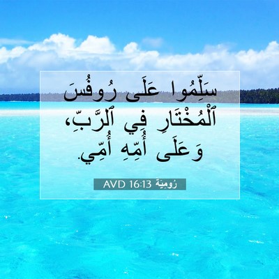 Picture 07 - رُومِيَةَ 16:13 AVD - سَلِّمُوا عَلَى رُوفُسَ - Bible Verse Picture