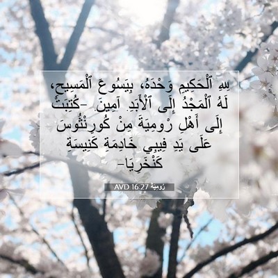 Picture 07 - رُومِيَةَ 16:27 AVD - لِلهِ ٱلْحَكِيمِ - Bible Verse Picture
