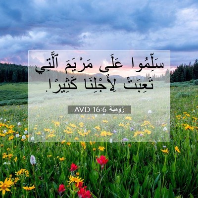 Picture 07 - رُومِيَةَ 16:6 AVD - سَلِّمُوا عَلَى مَرْيَمَ - Bible Verse Picture