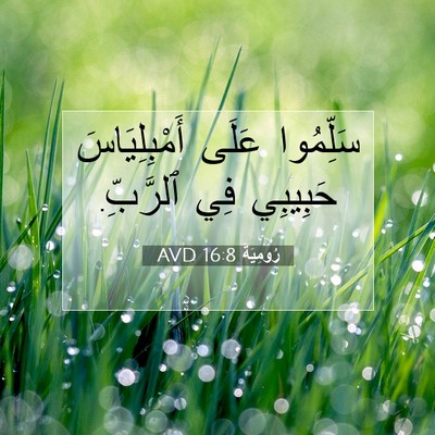 Picture 07 - رُومِيَةَ 16:8 AVD - سَلِّمُوا عَلَى - Bible Verse Picture
