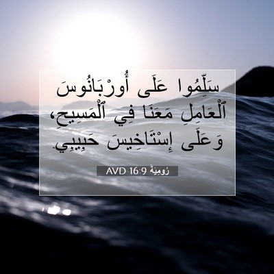 Picture 07 - رُومِيَةَ 16:9 AVD - سَلِّمُوا عَلَى - Bible Verse Picture