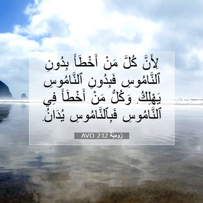 Picture 07 - رُومِيَةَ 2:12 AVD - لِأَنَّ كُلَّ مَنْ - Bible Verse Picture
