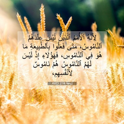 Picture 07 - رُومِيَةَ 2:14 AVD - لِأَنَّهُ ٱلْأُمَمُ - Bible Verse Picture