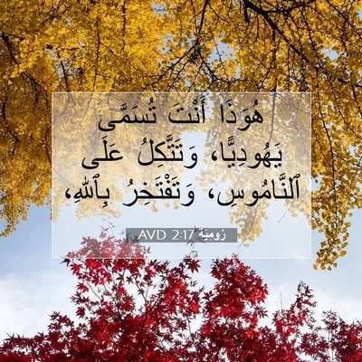 Picture 07 - رُومِيَةَ 2:17 AVD - هُوَذَا أَنْتَ تُسَمَّى - Bible Verse Picture