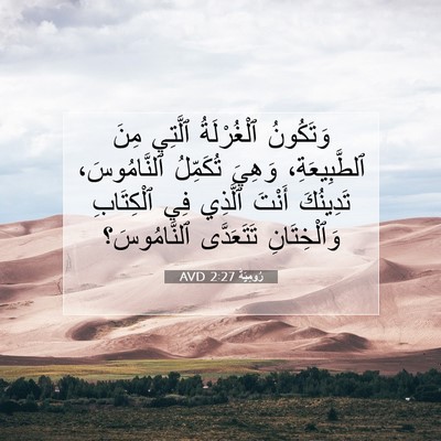 Picture 07 - رُومِيَةَ 2:27 AVD - وَتَكُونُ ٱلْغُرْلَةُ - Bible Verse Picture