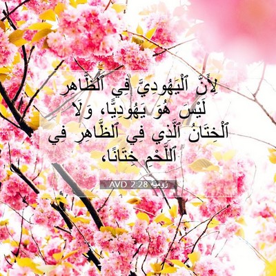 Picture 07 - رُومِيَةَ 2:28 AVD - لِأَنَّ ٱلْيَهُودِيَّ فِي - Bible Verse Picture