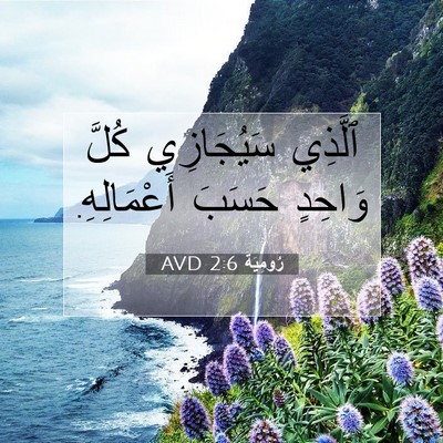 Picture 07 - رُومِيَةَ 2:6 AVD - ٱلَّذِي سَيُجَازِي كُلَّ - Bible Verse Picture